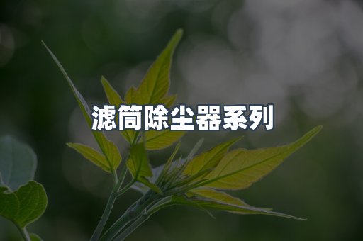 脉冲布袋除尘器
