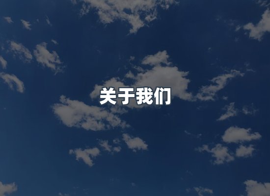 专业团队